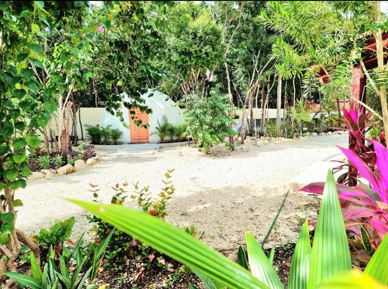 Aylove House Xetna Messico